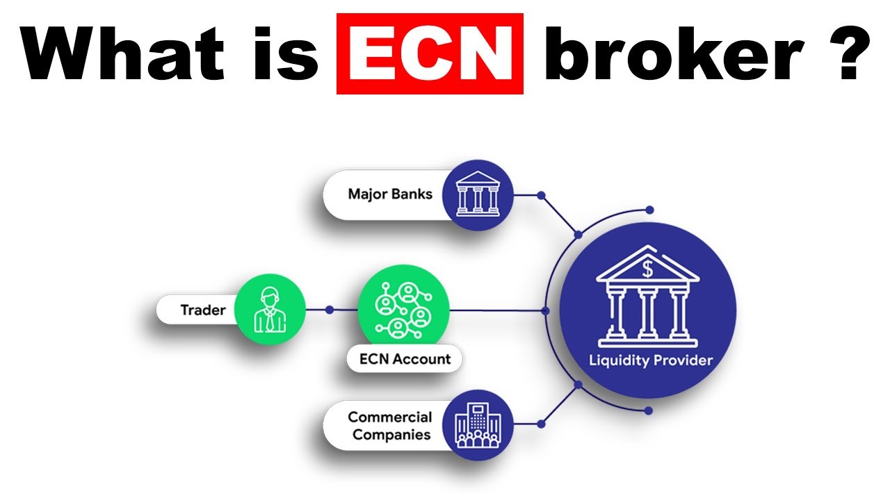 ECN Broker - STP&ECN Forex Brokers